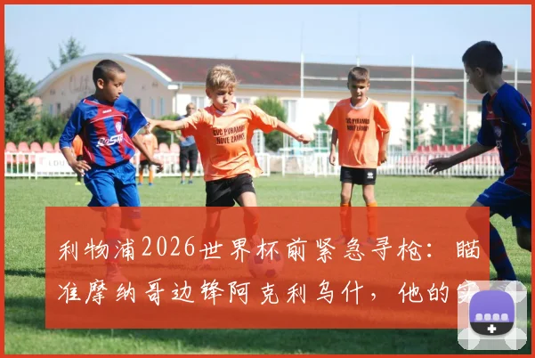 利物浦2026世界杯前紧急寻枪:瞄准摩纳哥边锋阿克利乌什,他的实力与转会费究竟如何?
